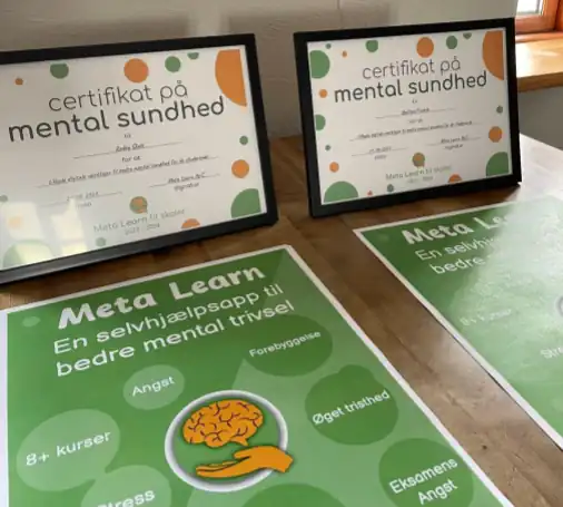 Meta Learn certificates and Meta Learn posters
