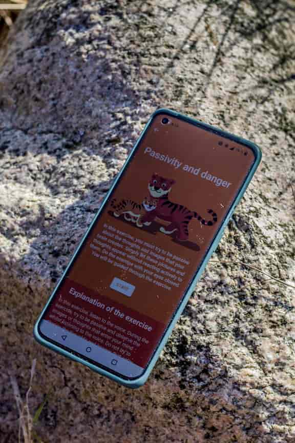 Meta Learn app på toppen af en sten